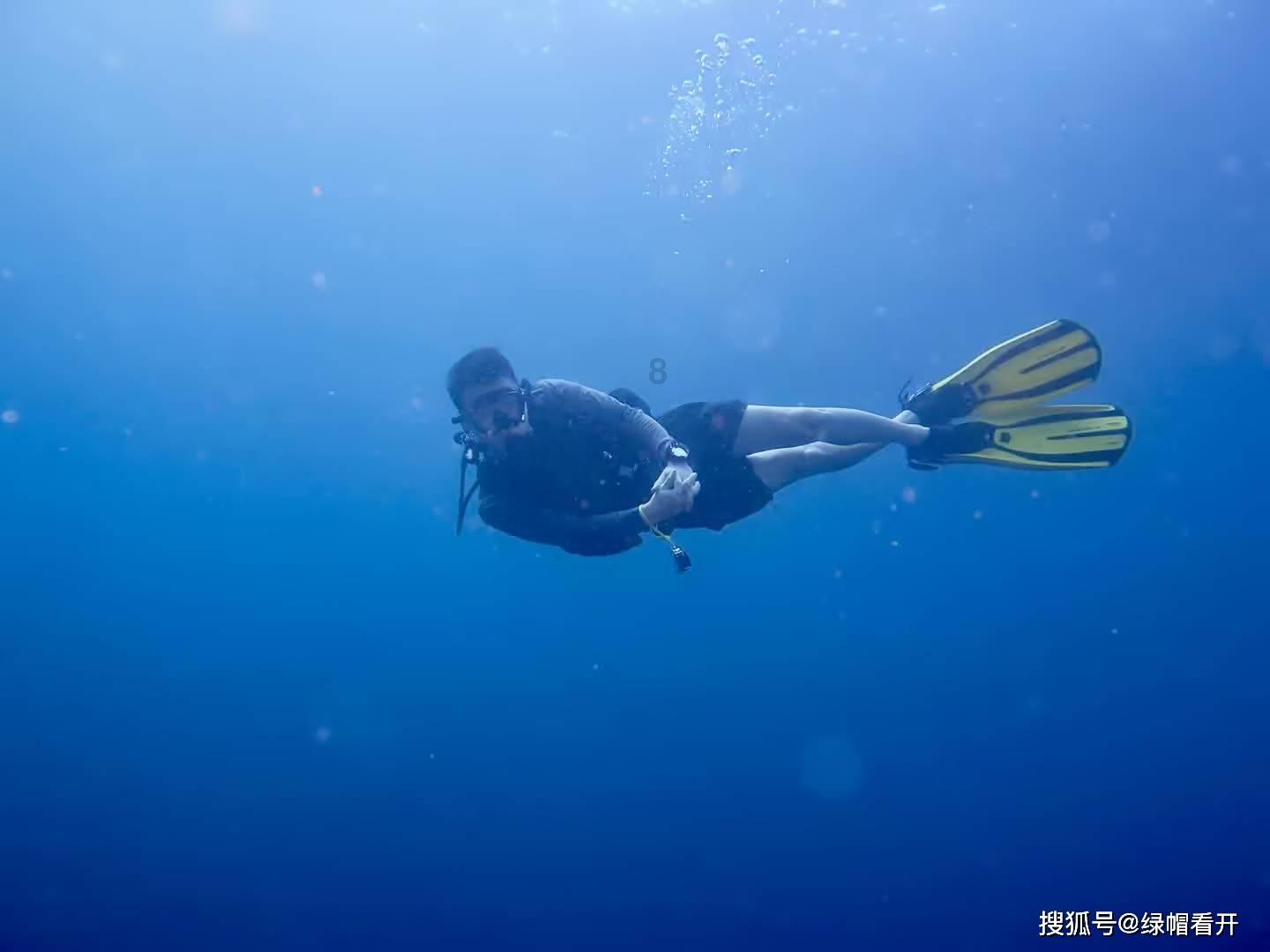组装机械恐龙3